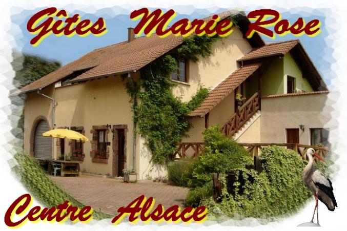 GITE AU COEUR DE L'ALSACE