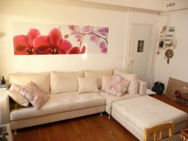 Vincennes - Location avec chat ( 24 au 31 mars)