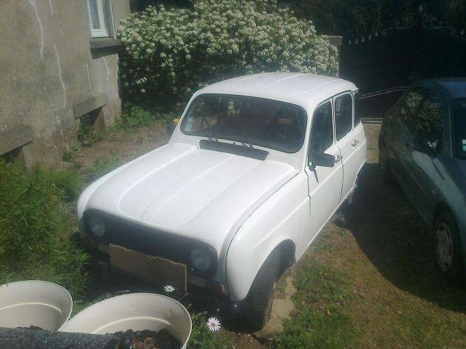 Renault 4l safari