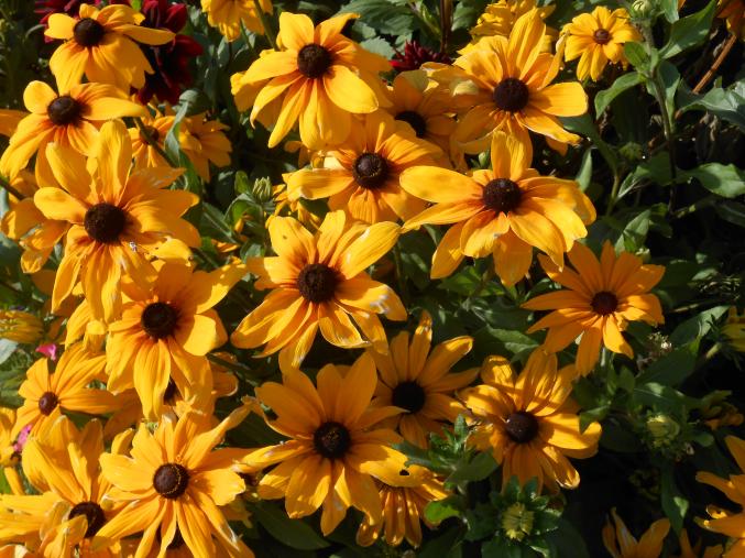 Menage repassage et couture