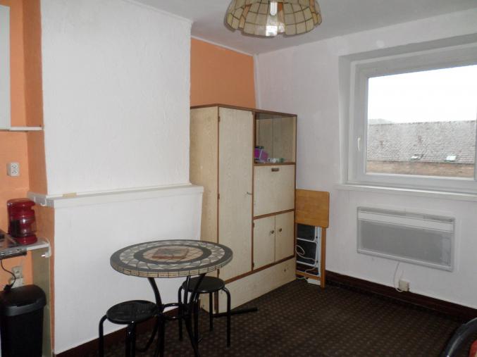 STUDIO 14M2 PLUS CAVE 5M2 LILLE