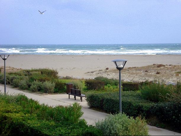 Leucate - Appartement face à la mer