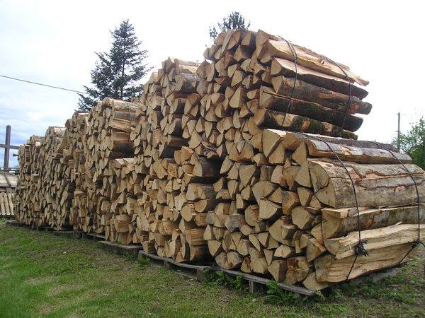 Bois de Chauffage Pret a Bruler