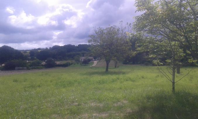 Terrain constructible