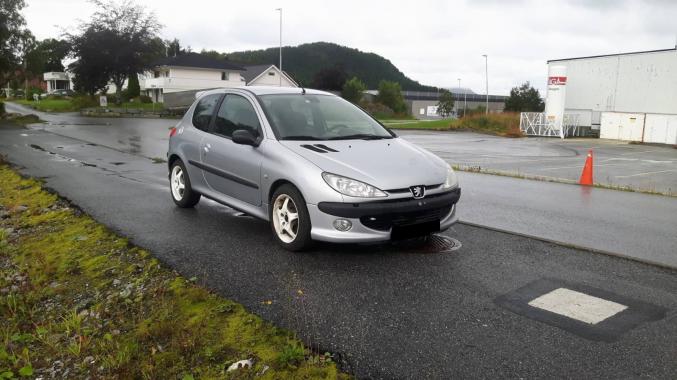 Peugeot 206 / Prix: 1000€