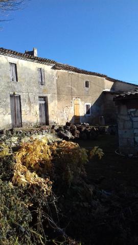 Exploitation viticole