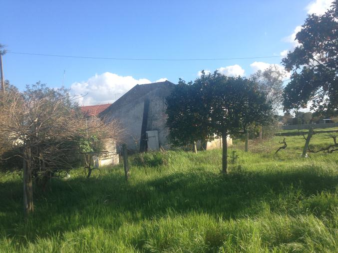 Vends terrain constructible au Portugal