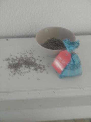 Aux pays de la lavande 