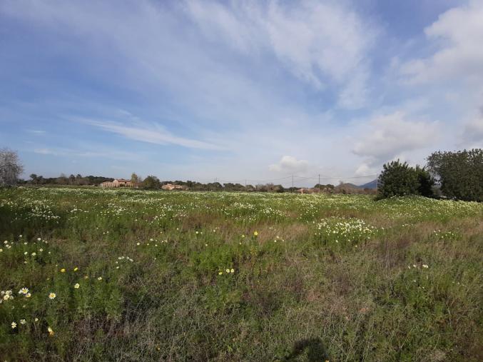 Finca Rústica pour la vente en Cas Concos, Mallorca