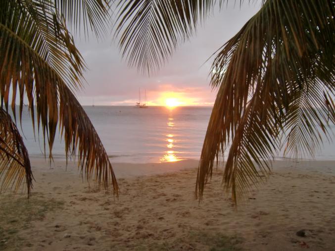 Home sitting gratuit