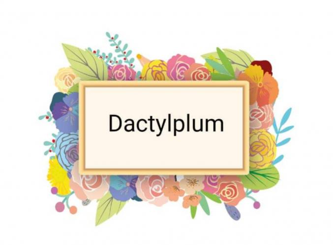 Correction de vos écrits 