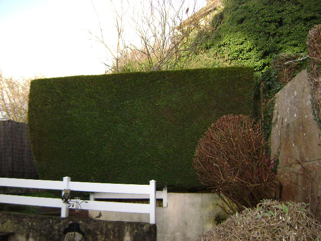 Jardinier en Cesu sérieux dynamique fait travaux de jardin