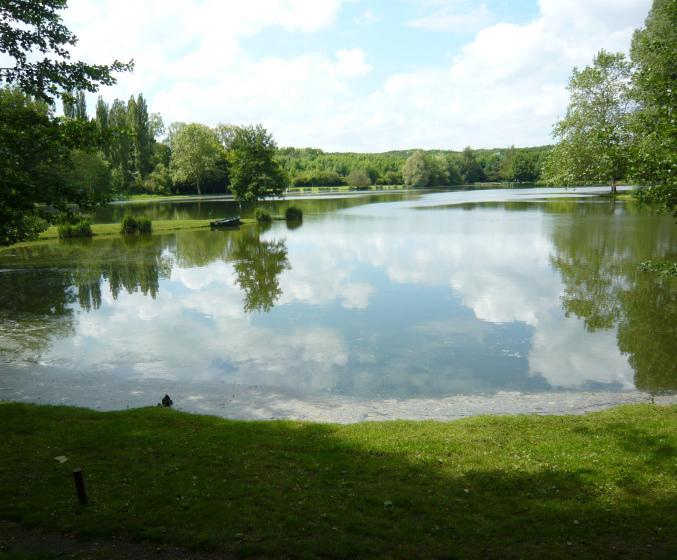 Superbe étang de pêche