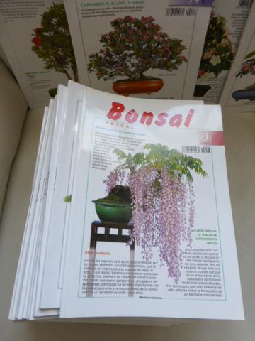 172  REVUES SUR LE BONSAI
