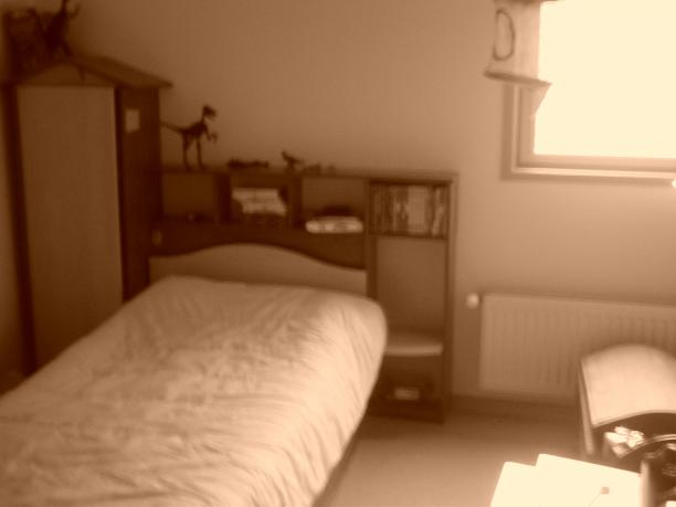 Le Puy-en-Velay - Loue chambre