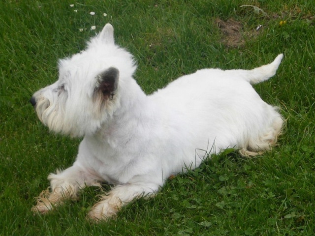 CASSIS PREND SA RETRAITE