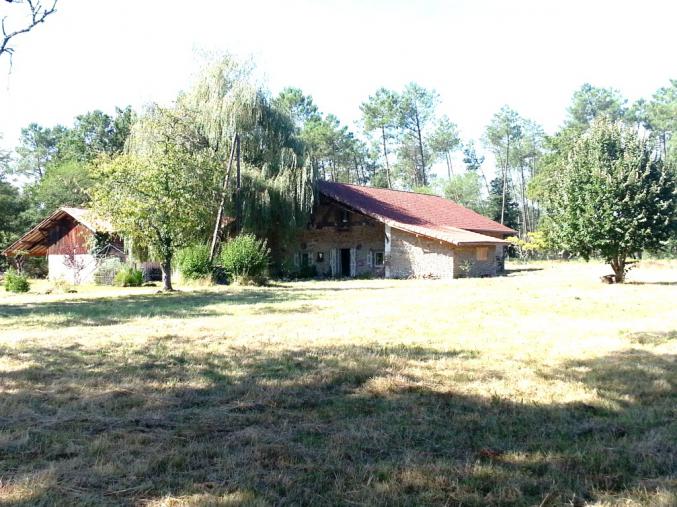 #authentique ferme landaise renové 5 ch. /5 s.d.b. aquitaine 