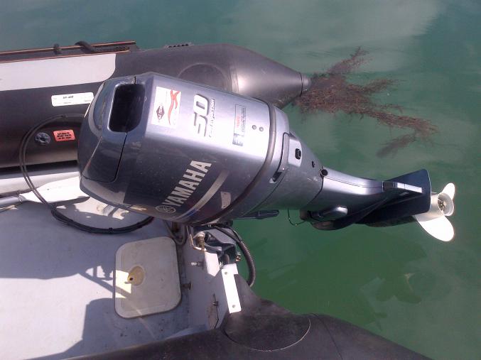 Narwhal semi-rigide moteur yamaha neuf