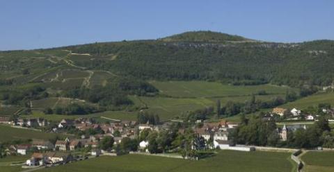 Stage de Yoga et disciplines associées en Bourgogne été 2015