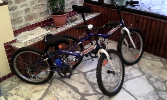 Vélos enfants 20 pouces