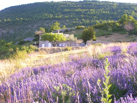 Maison en pierres Drôme Provençale
