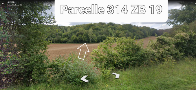 Terrain loisir boisé