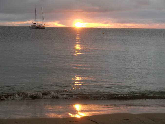 Gardiennage gratuit maison animaux par retraités français