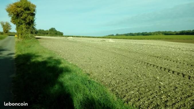 3 grands terrains n-v libres constructeurs près d'ANGOULEME