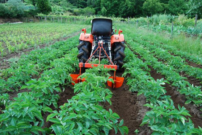 Micro tracteur buttoir