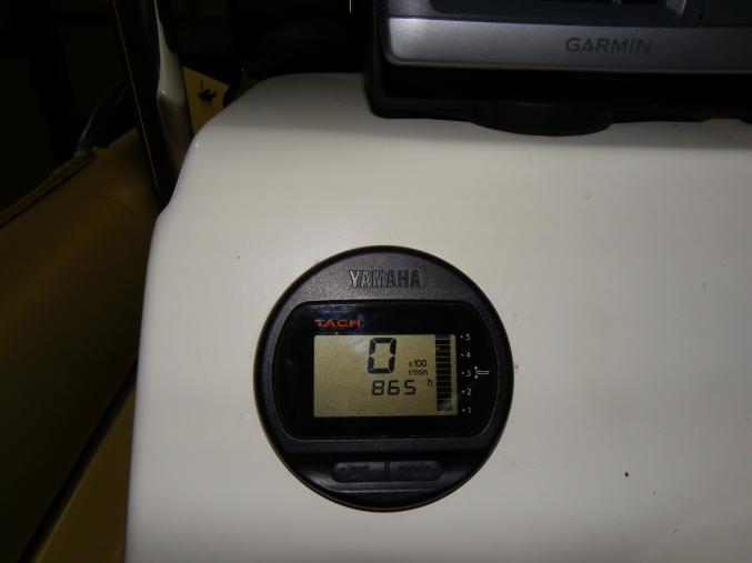 Semi rigide  ribster 550