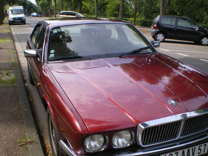 Cherche un nouveau maitre