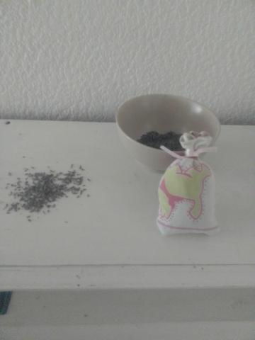 Aux pays de la lavande