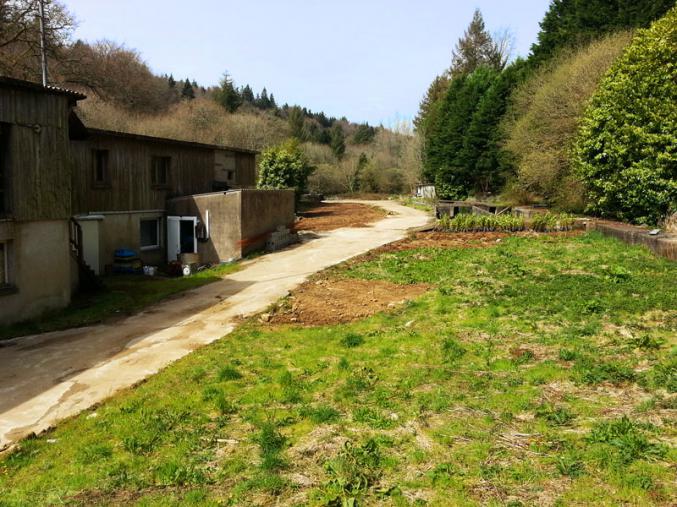 Le calme au bord de l'eau
