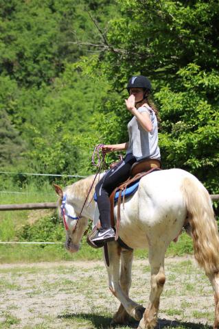 Cheval de randonnée