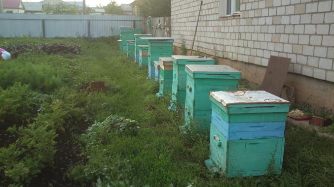 Vente de miel bachkir