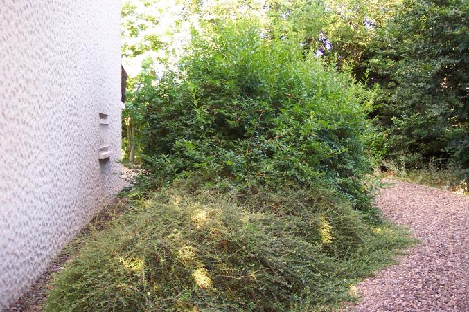 Maison sur parc clos