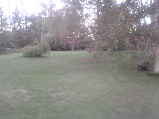 PRESTATION DE SERVICES