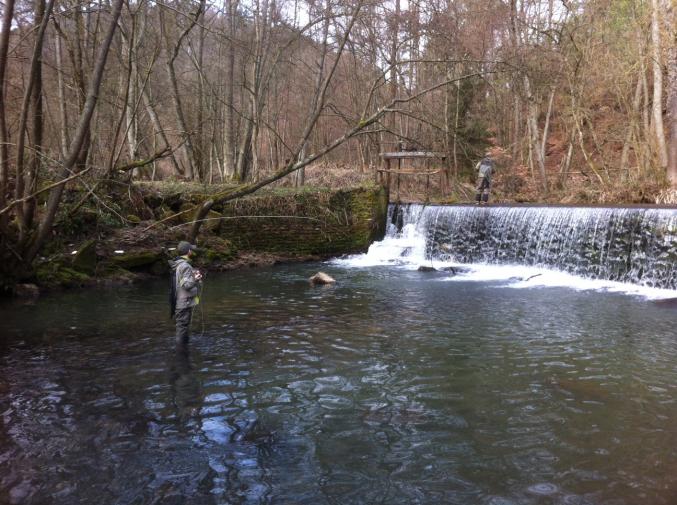 Location étang de pêche