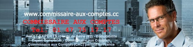 COMMISSAIRE AUX COMPTES