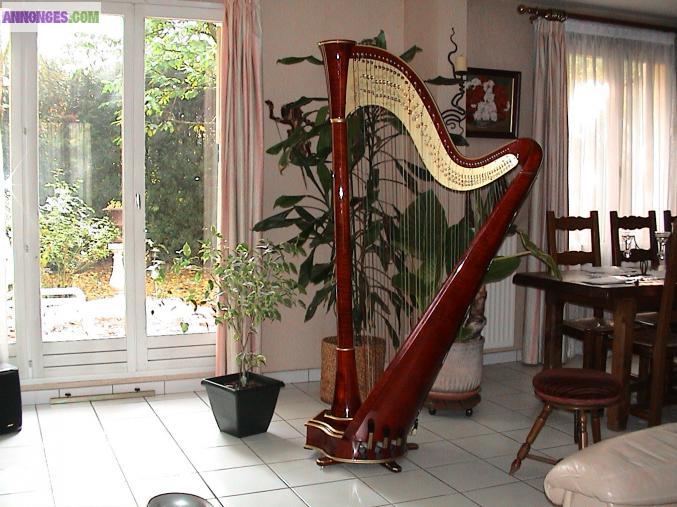 Vends Harpe CAMAC modèle Atlantide 47 Cordes