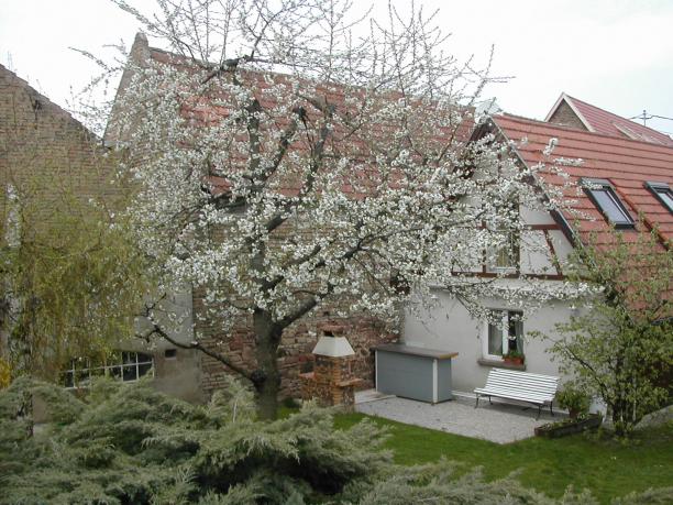 Niederhausbergen - STUDIO CALME ET TYPIQUE A LA CAMPAG