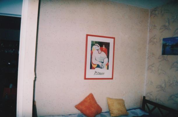 Montpellier - Loue grande chambre lumineuse