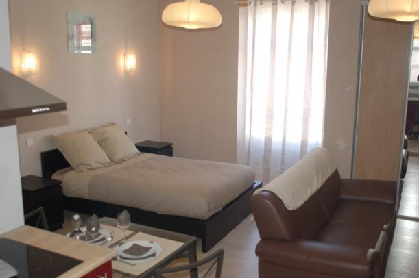 Pau - Appartement Quartier du Château