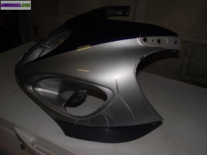 Carenage/tete de fouche hayabusa