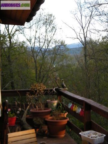 Vente chalet en bois