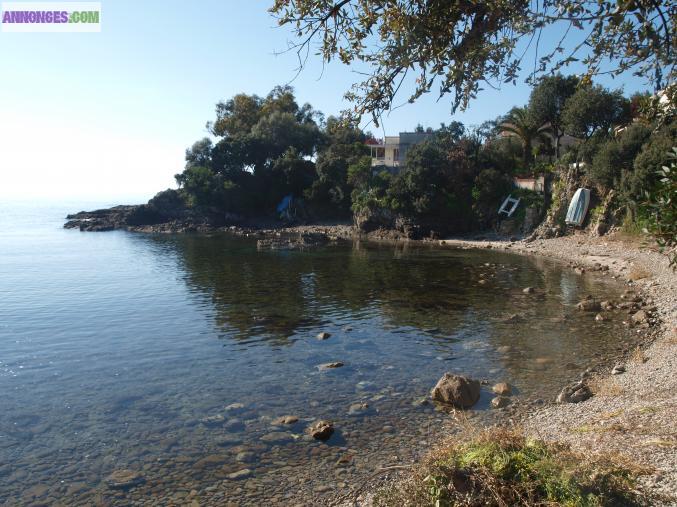 Location saisonnière