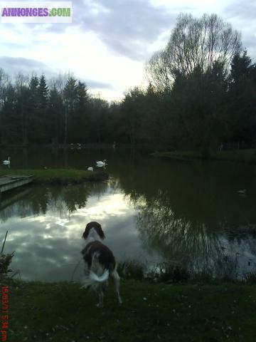 Maison coup de coeur