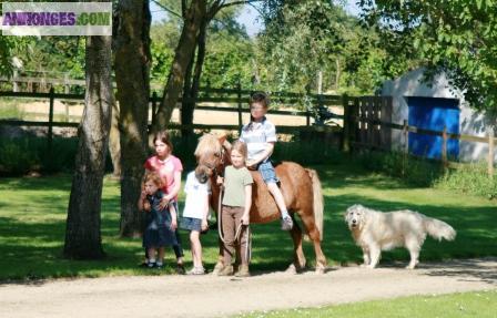 Location très beau gîte, "Les Florentines",  piscine chauffée, prox plages