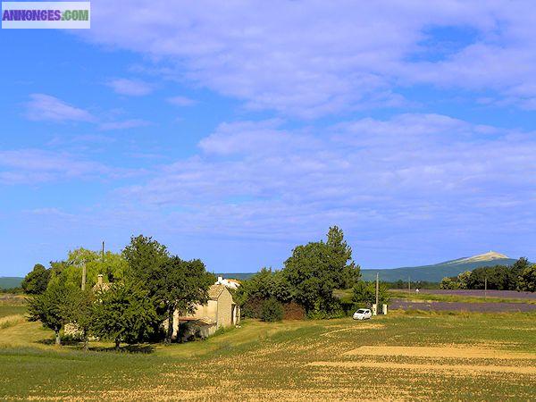 Mas à restaurer en Provence