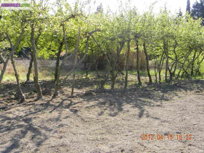 TERRAINS LOISIR A LOUER